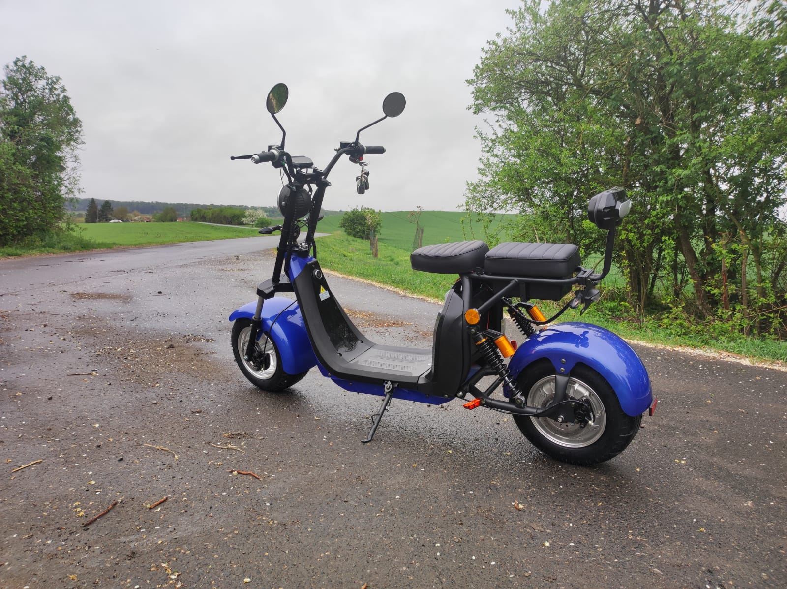 Elektrická koloběžka Lera Scooters C2  2000W modrá