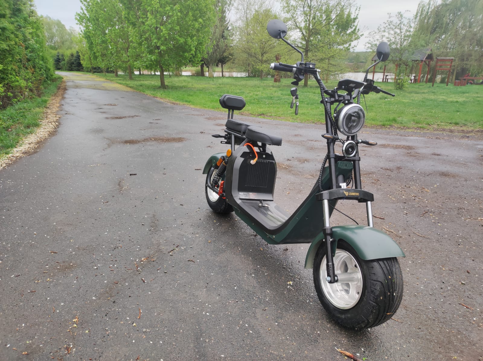 Elektrická koloběžka Lera Scooters C2 2000W zelená